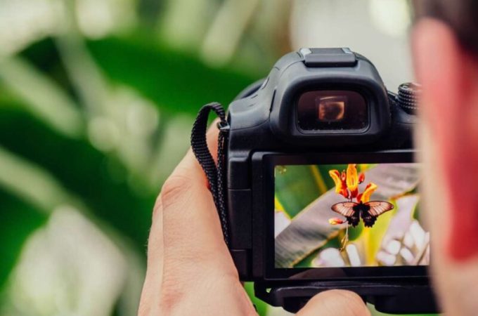 Night and Low Light Photography